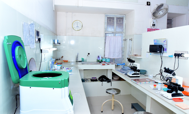 Personal Care